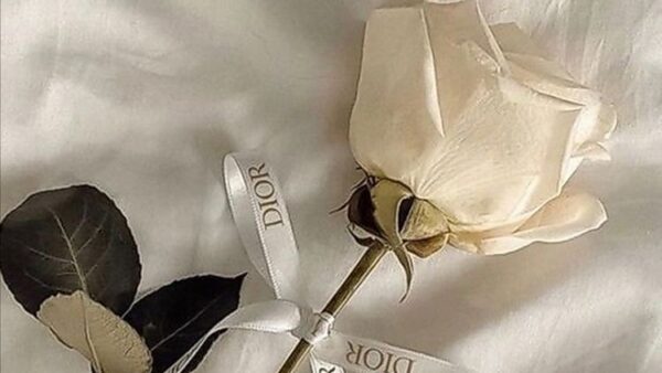 完璧主義が稼げない理由